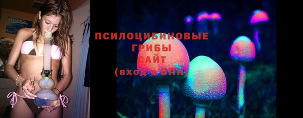 тгк Зеленокумск
