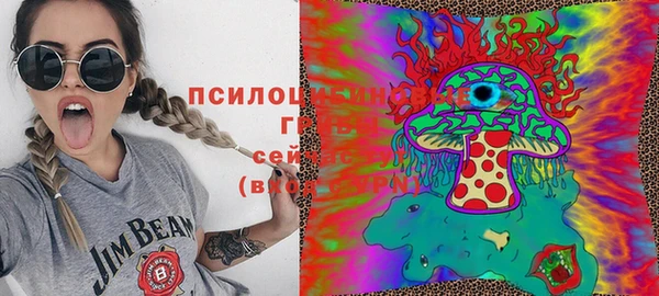 тгк Зеленокумск