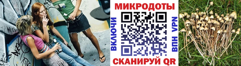 Псилоцибиновые грибы ЛСД  Купить закладки  Кирово-Чепецк 